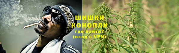 Альфа ПВП Лагань