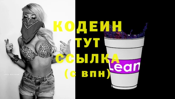 Альфа ПВП Лагань