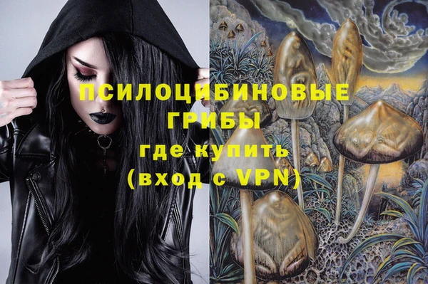 Альфа ПВП Лагань