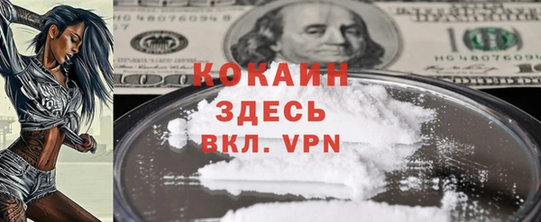 Альфа ПВП Лагань