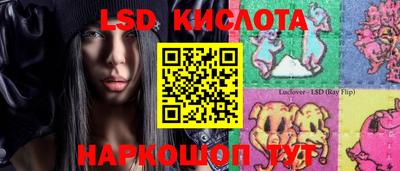 шишки Канаш