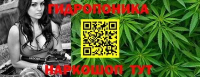 круглые Камышлов