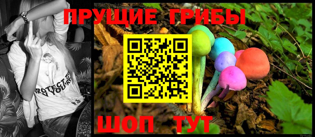 Псилоцибиновые грибы MAGIC MUSHROOMS Сосновый Бор