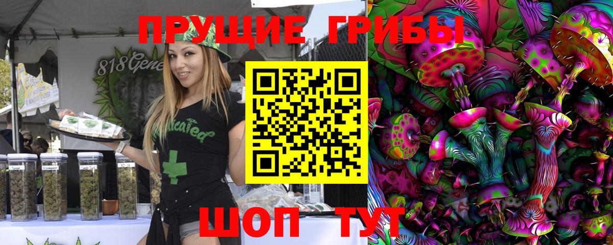 Галлюциногенные грибы Psilocybine cubensis  Вход с VPN  Галлюциногенные грибы ЛСД  Сосновый Бор 