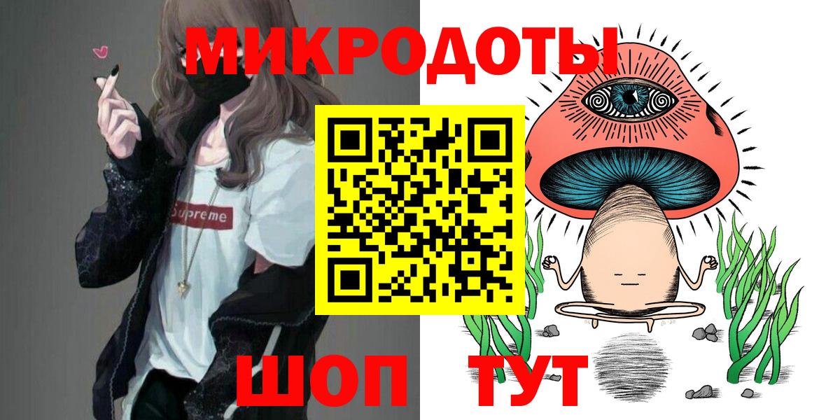 Галлюциногенные грибы Psilocybe Сосновый Бор