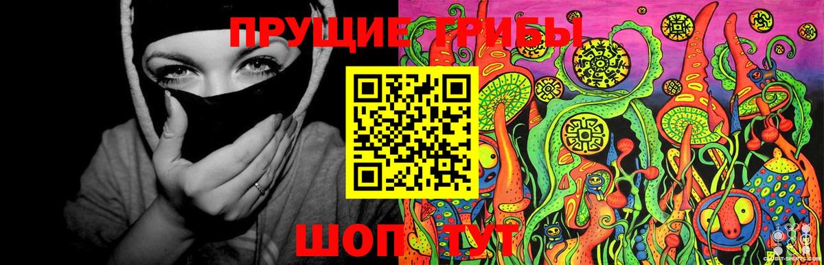 Галлюциногенные грибы Cubensis  купить  сайты  Галлюциногенные грибы Cubensis  Сосновый Бор 