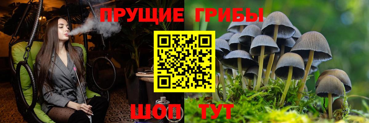 Героин  Сосновый Бор  Каннабис  Cocaine  Вход с VPN  Меф   Гашиш 