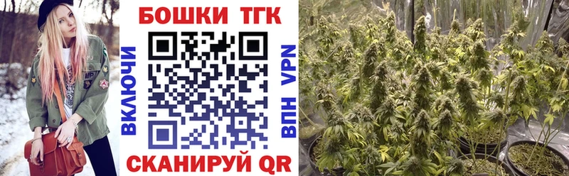 Конопля THC 21%  это наркотические препараты  Сосновый Бор  даркнет сайт 